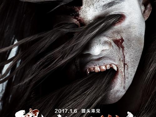 金沢星稜大学商业管理文凭证书